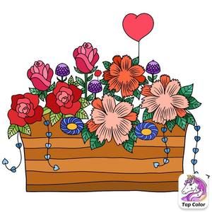 Meet your Posher, Debra